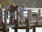 Crabbing from the boat/swim/fish dock at Meeting House Pond
